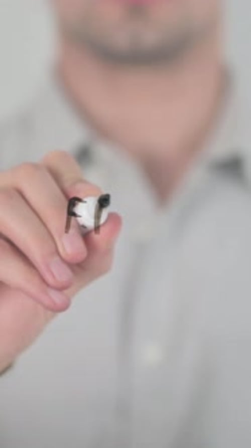 Man Writing Free Seminar on Glass Surface