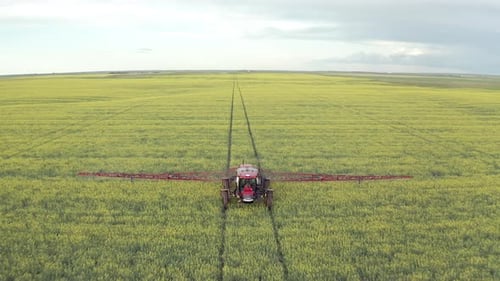 Agricultural Tractor Working On Canola Field Spraying Fungicide At Rural Plantation In Canada. - Pul