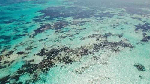 Clear Turquoise Ocean Waters and Coral Reef