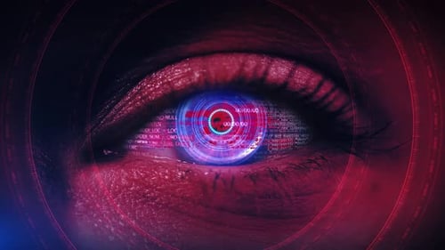 Futuristic Digital Eye Hacking System Data Display