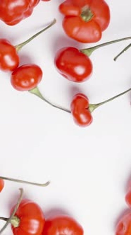 Vertical video. Red mini peppers of The Star of Turkey are scattered across a white table, top-down