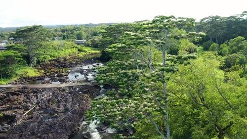 Flowing river winding through volcanic rock and dense green forest