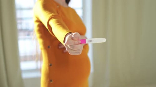 Woman Hand Holding Positive Pregnancy Test Pregnant Woman with Big Belly Expecting Baby Undergo