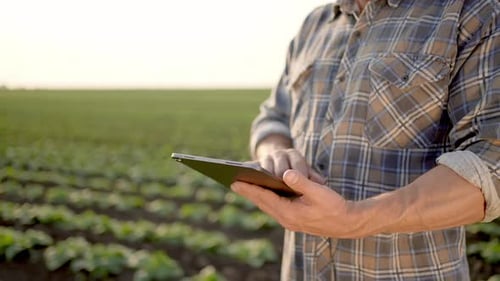 Farmer Man Using Tablet at Field Portrait Male Farmer