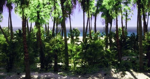 Lush Tropical Paradise with Palm Trees and Beach View Under Bright Sky