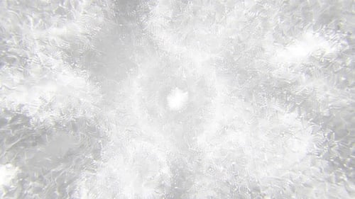 White Dynamic Turbulence