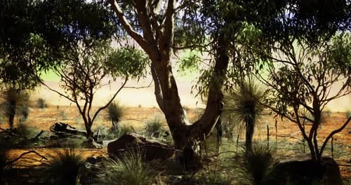 Sunlight Filtering Through Trees in a Serene Australian Outback Landscape