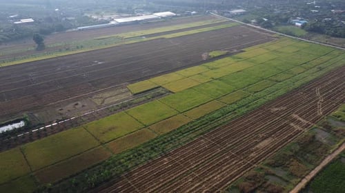 Aerial view of autumn before and after harvest with straw left in the field.