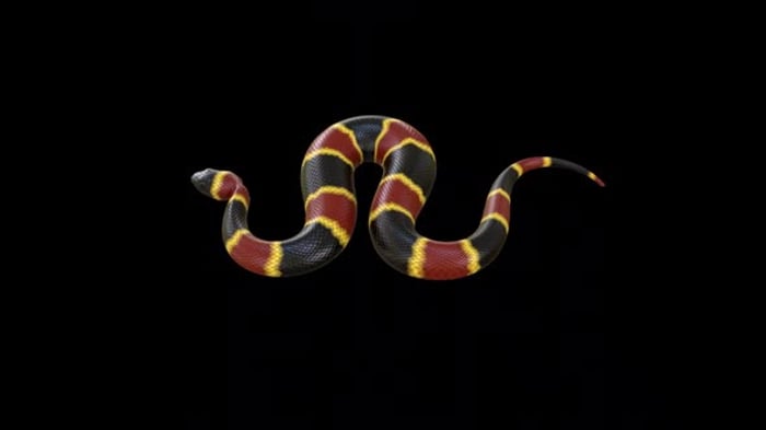 Blue Snake Slithering on Transparent Background Animation, Elements ...