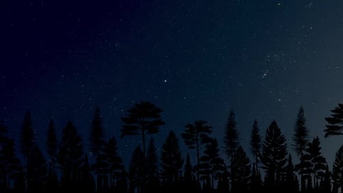 Twinkling Stars over Forest Silhouette Night Sky Loop