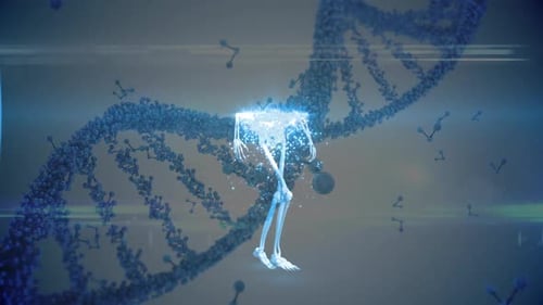 Animated Human Skeleton and DNA Helix Science Visualization