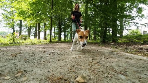 Woman Walking Her Dog in Park on a Sunny Day