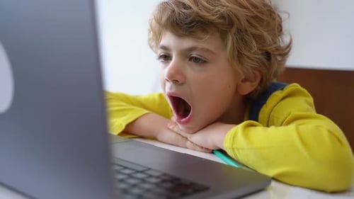 Young Boy Using Laptop Computer at Home