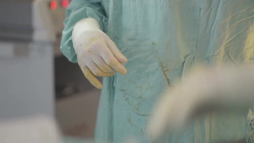 Expertly crafted hands of a plastic surgeon post-surgery.