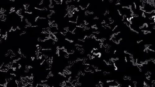 Abstract Falling Question Marks Exclamation Points Loop