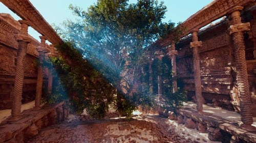 Capture d'écran d'un arbre dans un bâtiment en ruine