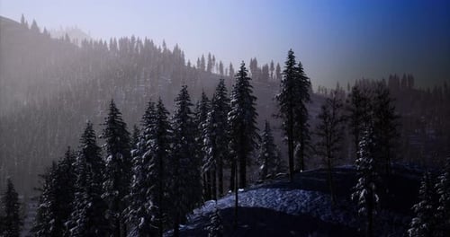 Enchanting Winter Dawn Over a Snow Covered Forest in Serene Solitude
