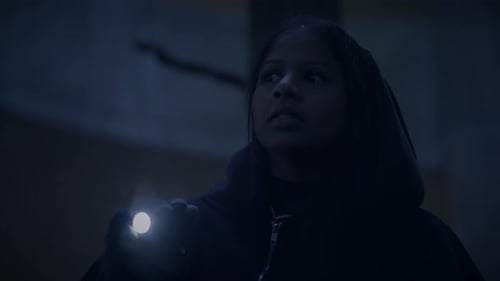 Woman with Flashlight Investigates at Night