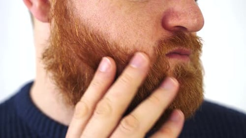 Close Up the Man Shows His Red Beard Stroking His Long Beard on a White Background