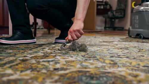 Man Cleaning Clump of Debris from Carpet