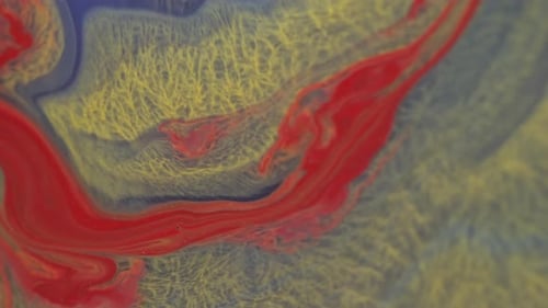 Swirling Red, Yellow and Blue Liquid Creating Abstract Pattern