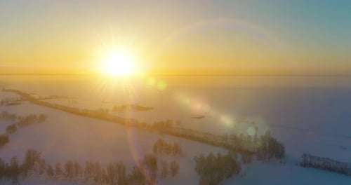 Aerial Drone View of Cold Winter Landscape with Arctic Field Trees Covered with Frost Snow and