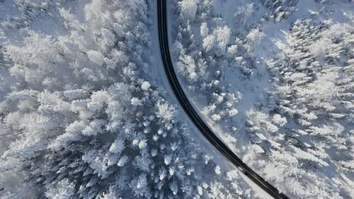 Top View of a Car Driving Through a Breathtaking Snowy Forest in the Mountains