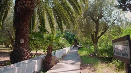 Holzweg durch den botanischen Park mit Palmen und Holzrad am Ende.