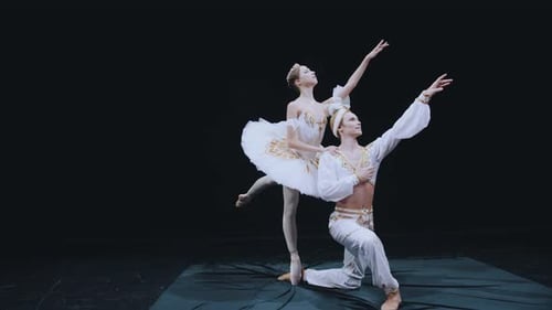 La danseuse de ballet et la ballerine se sont figées dans la belle position du ballet classique. La grâce.