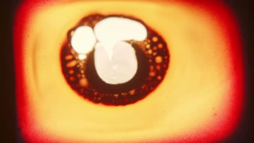 Abstract Art Close Up with Blotches of Color