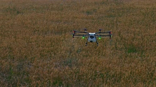 Drone Flying Over A Field And Spraying