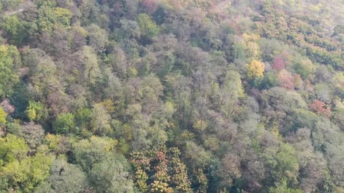 Aerial view of countryside