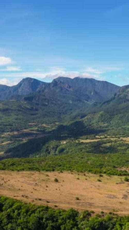 Mountain Slopes Covered with Rainforest and Jungle