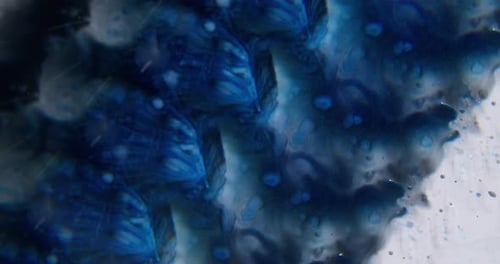 Abstract patterns of blue and gray ink flowing