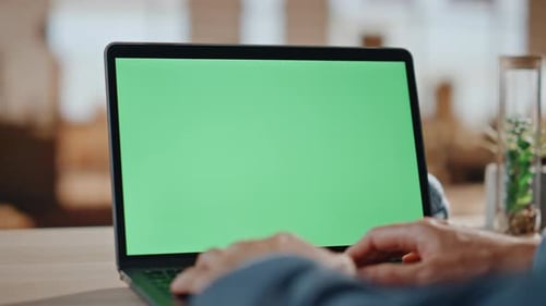 Man Hands Typing Greenscreen Laptop at Office Closeup Unknown Manager Working
