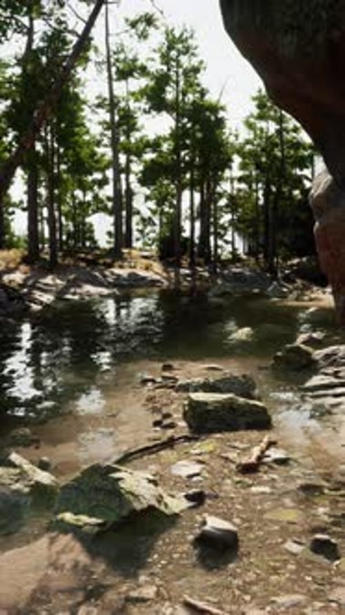 Rocky Stream Flowing Through Forest