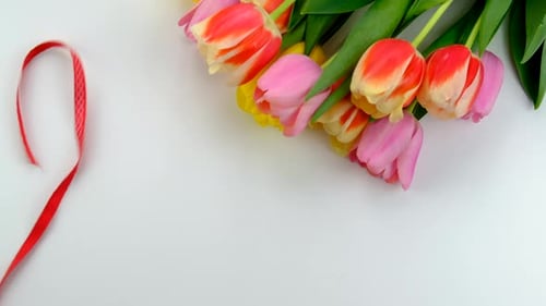 Bouquet of Tulips and Red Ribbon Forming an Eight