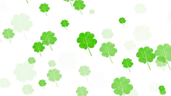 Digital animation of multiple clover leaves floating against white ...
