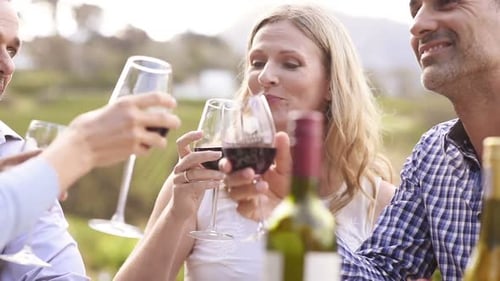 Adults Toasting with Red Wine at an Outdoor Table