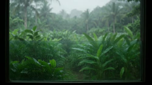 Monsoon Rain Through Window