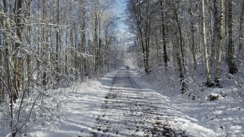 Lonely Trail In The Woods Covered With Snow In Wintertime. Pullback Shot