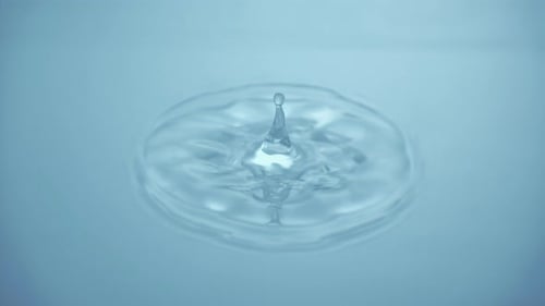 Water Drop Impact Creating Ripples on Water Surface
