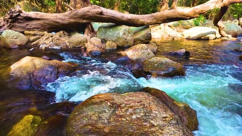 Kristallklares Wasser im Wald