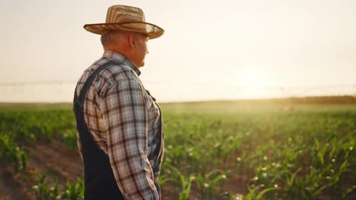 Professional Agriculture and Agronomy Farming in Ecological Region Old Farmer Unity of Person and