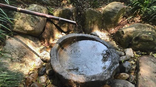Slo-Mo Side view Full Frame shot, Japanese Water Feature, Botanical Gardens, Mt Coot-tha Brisbane