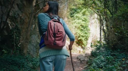 Hiker Tourist Walk Through Forest with Backpack on Vacation Travel on Mountain