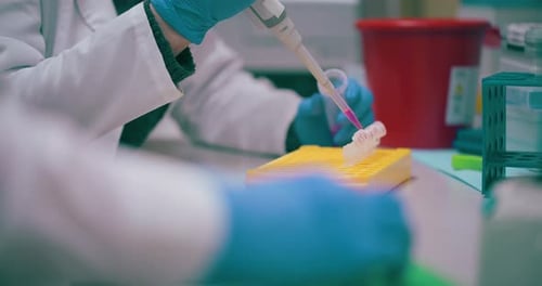 Chercheur d'un laboratoire de soins de santé travaillant sur un vaccin contre la COVID-19, le cancer et la grippe