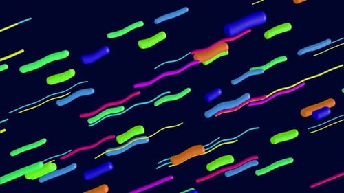 Colourfull Wiggly Lines