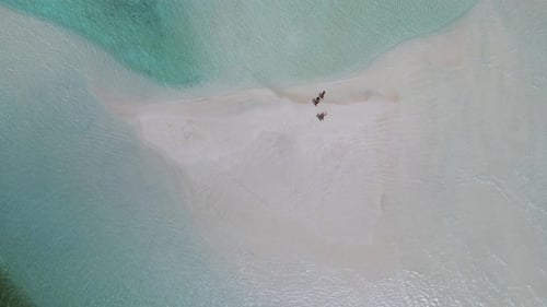 Stunning Tropical Seascape of Sandbank in Indian Ocean
