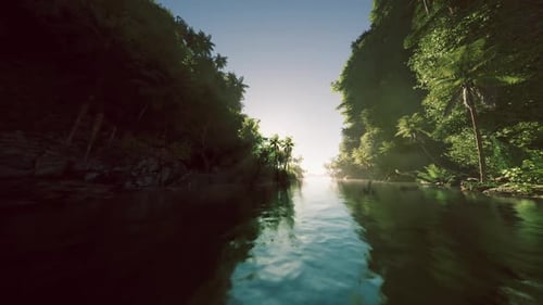 Tropical River Journey Through Lush Green Jungle
